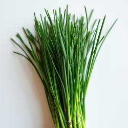 Chives