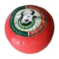 Gouda Cheese (Mucc)