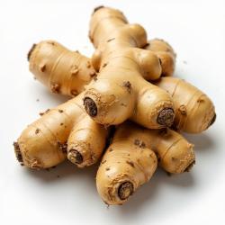 Ginger