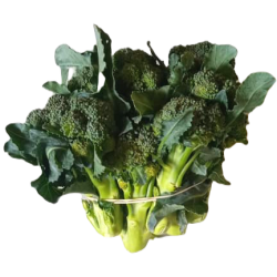 Brocette, Tender stem (Broccolini)